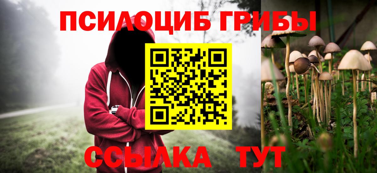 Псилоцибиновые грибы мухоморы Сосновый Бор