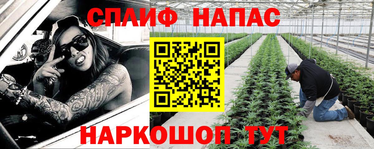 Сосновый Бор  МАРИХУАНА Ganja  Вход с VPN  Бошки марихуана сатива  Конопля LSD WEED 